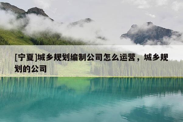 [宁夏]城乡规划编制公司怎么运营，城乡规划的公司