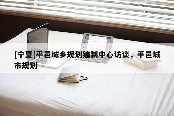 [宁夏]平邑城乡规划编制中心访谈，平邑城市规划
