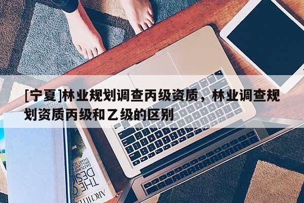 [宁夏]林业规划调查丙级资质，林业调查规划资质丙级和乙级的区别