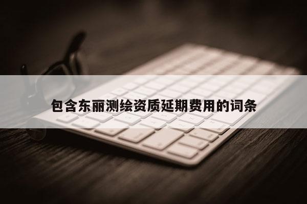 包含东丽测绘资质延期费用的词条