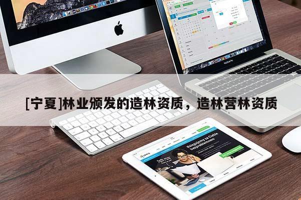 [宁夏]林业颁发的造林资质，造林营林资质