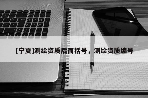 [宁夏]测绘资质后面括号，测绘资质编号