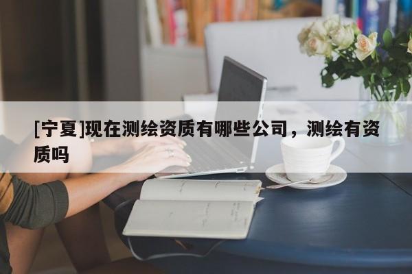 [宁夏]现在测绘资质有哪些公司，测绘有资质吗