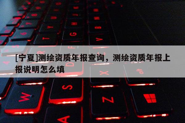 [宁夏]测绘资质年报查询，测绘资质年报上报说明怎么填