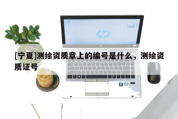 [宁夏]测绘资质章上的编号是什么，测绘资质证号