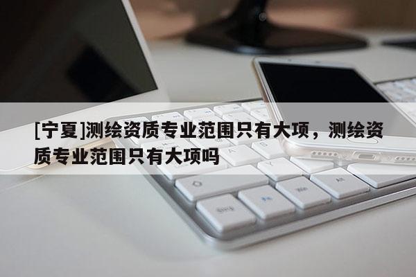 [宁夏]测绘资质专业范围只有大项，测绘资质专业范围只有大项吗