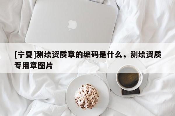 [宁夏]测绘资质章的编码是什么，测绘资质专用章图片
