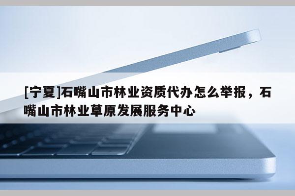 [宁夏]石嘴山市林业资质代办怎么举报，石嘴山市林业草原发展服务中心